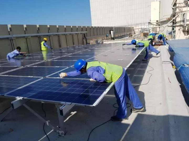 مدير FOEN القناة الخضراء إلى الدولية