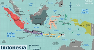 حتى بعد خروج إندونيسيا من الحظر، ما مدى تأثير ذلك على الصين؟